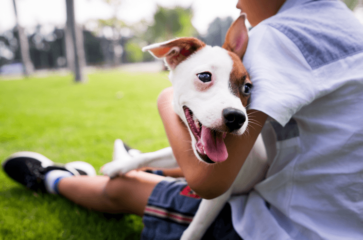 a man and his dog sitting on the grass