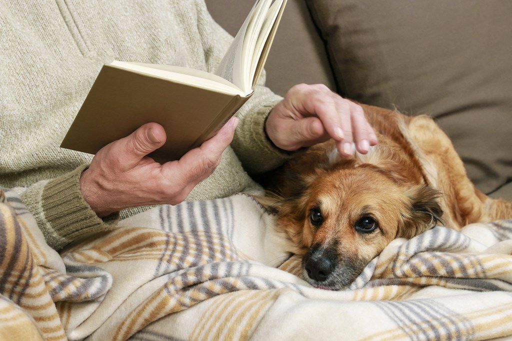 a man reading a book with his dog on his lap