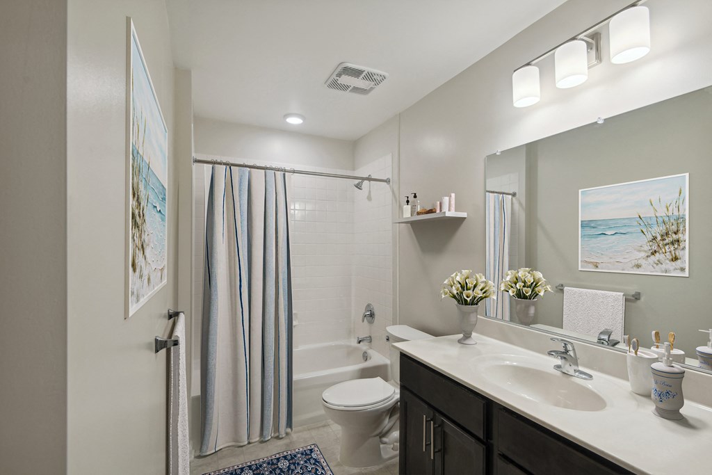 a bathroom with a shower toilet and sink and a mirror