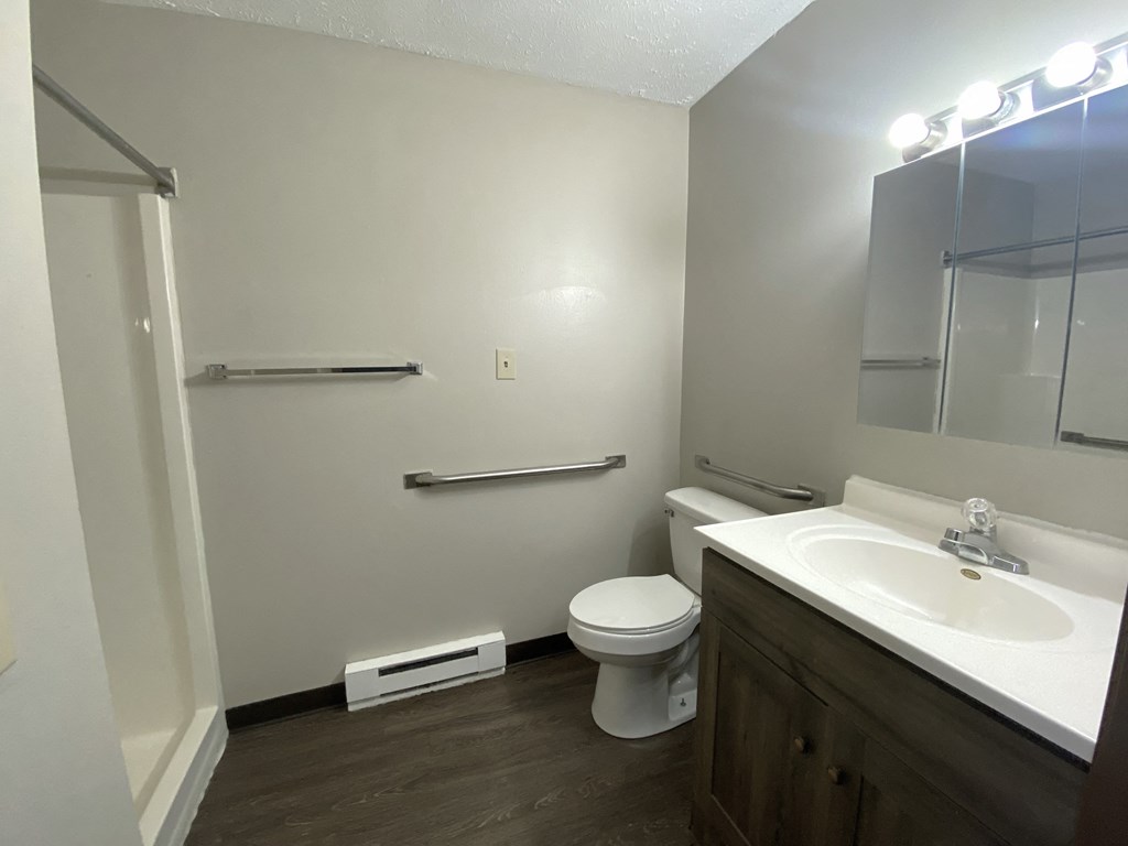a bathroom with a toilet and a sink and a mirror