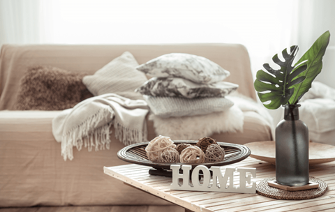 a coffee table with a plate of cookies and a vase with a plant