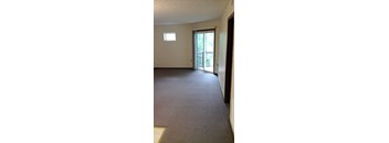 A room with a carpeted floor and a sliding glass door.