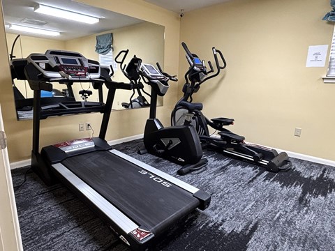 A home gym with a treadmill, elliptical machines, and stationary bikes.