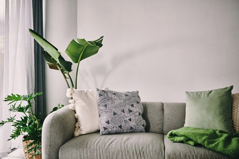 A grey couch with a green pillow and a green leafy plant in a vase.