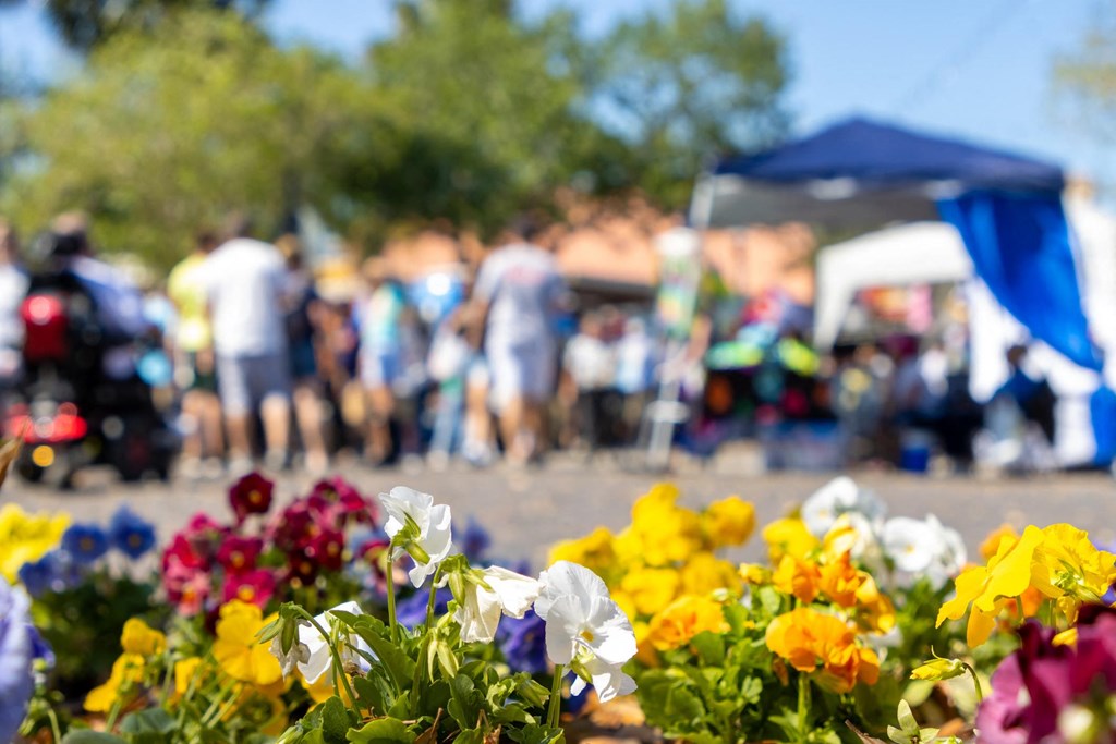 A bunch of flowers in the foreground with a blurry crowd in the background.