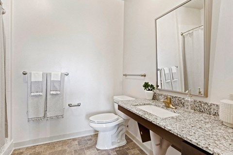 a bathroom with a sink and a toilet and a mirror
