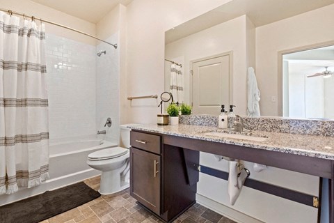 a bathroom with a sink and a toilet and a shower