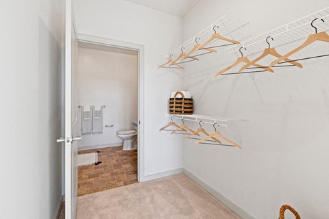 a bathroom with a closet and shelves on the wall
