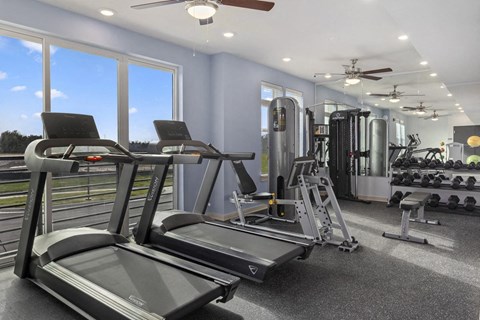the gym is equipped with cardio equipment and weights