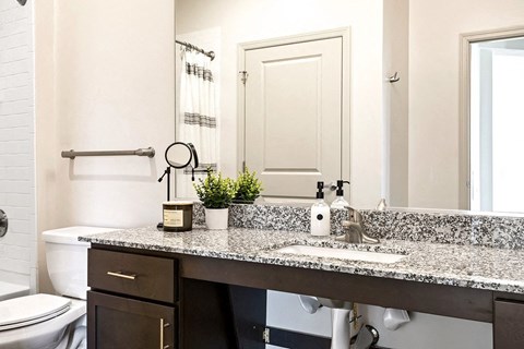 a bathroom with a sink and a toilet and a mirror