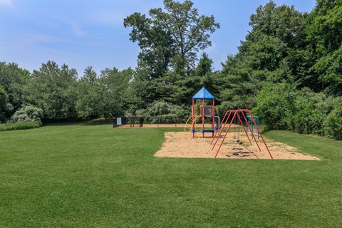 A playground with a blue and red swing set in the middle of a grassy area.