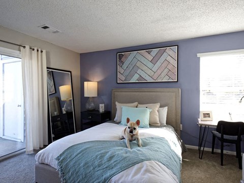 A dog is sitting on a bed in a bedroom.