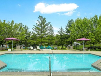 1000 Stewards Crossing Way 1-3 Beds Apartment for Rent - Photo Gallery 17