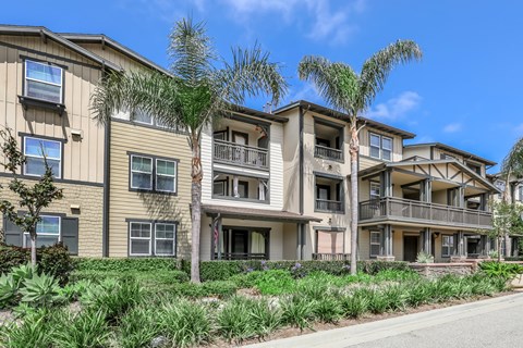 A row of apartment buildings with balconies and palm trees in front.