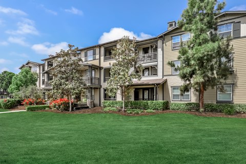 A large grassy area in front of apartment buildings.