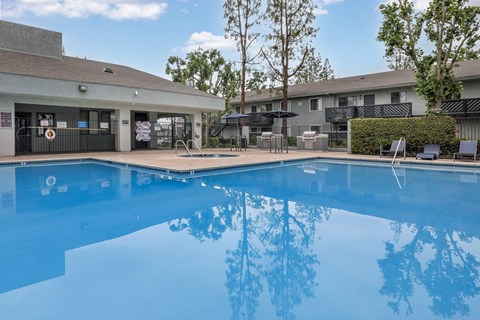 A large blue swimming pool in front of a building with a tree in the background.
