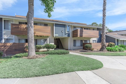 A row of apartment buildings with a tree in front of the first one.