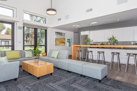 A modern living room with a grey couch, a wooden coffee table, and a bar area with stools.