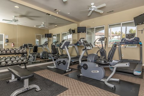 A gym with treadmills, weights, and exercise equipment.
