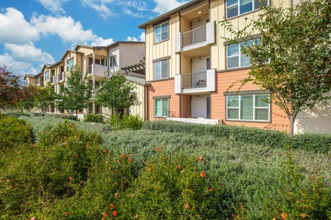 A row of apartment buildings with balconies and windows.