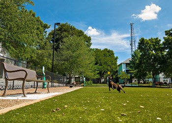 1000 Town Court S 1-3 Beds Apartment, Loft for Rent - Photo Gallery 3