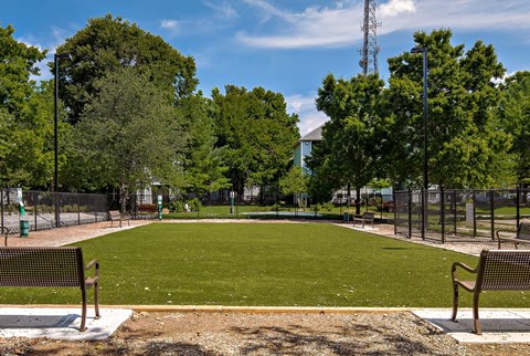 A park with a green field, trees, and benches.