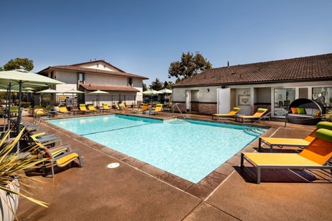 A large outdoor swimming pool surrounded by sun loungers and umbrellas.
