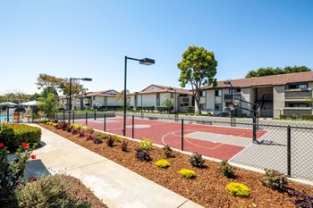 333 E Enos Dr 1-2 Beds Apartment for Rent - Photo Gallery 3