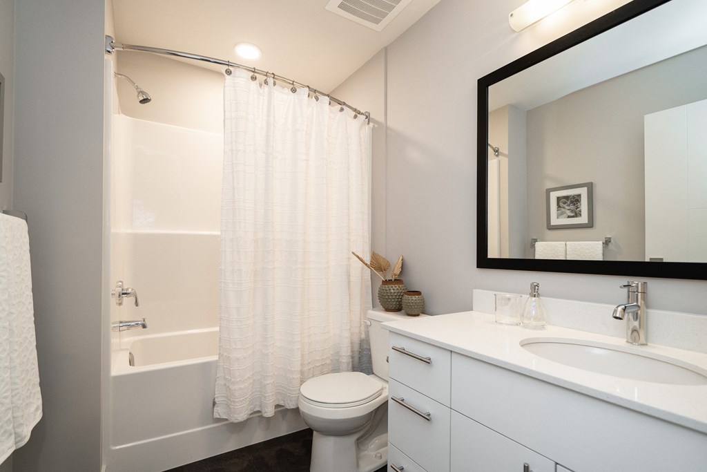 a bathroom with a shower toilet and sink and a mirror