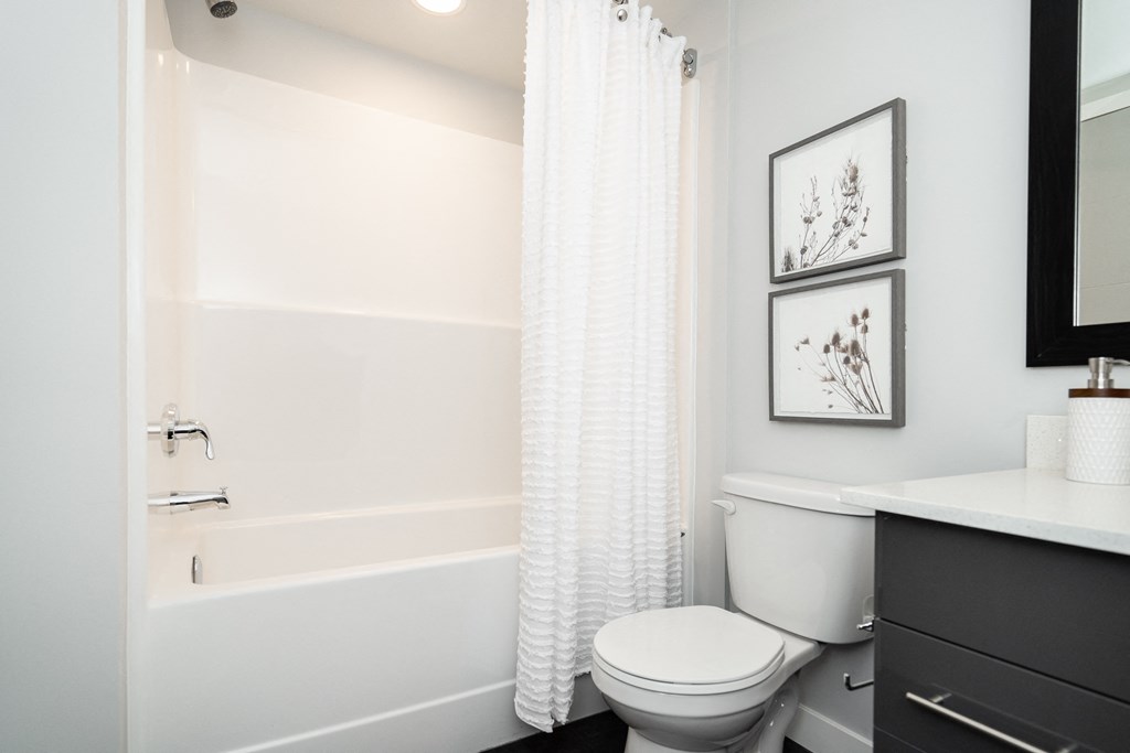 a bathroom with a shower and a toilet and a sink