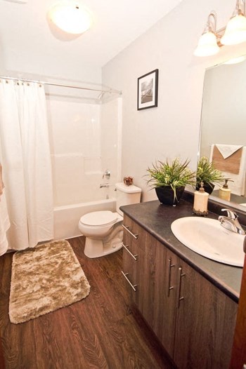 6600 48 Street 1-3 Beds Apartment for Rent - Photo Gallery 5