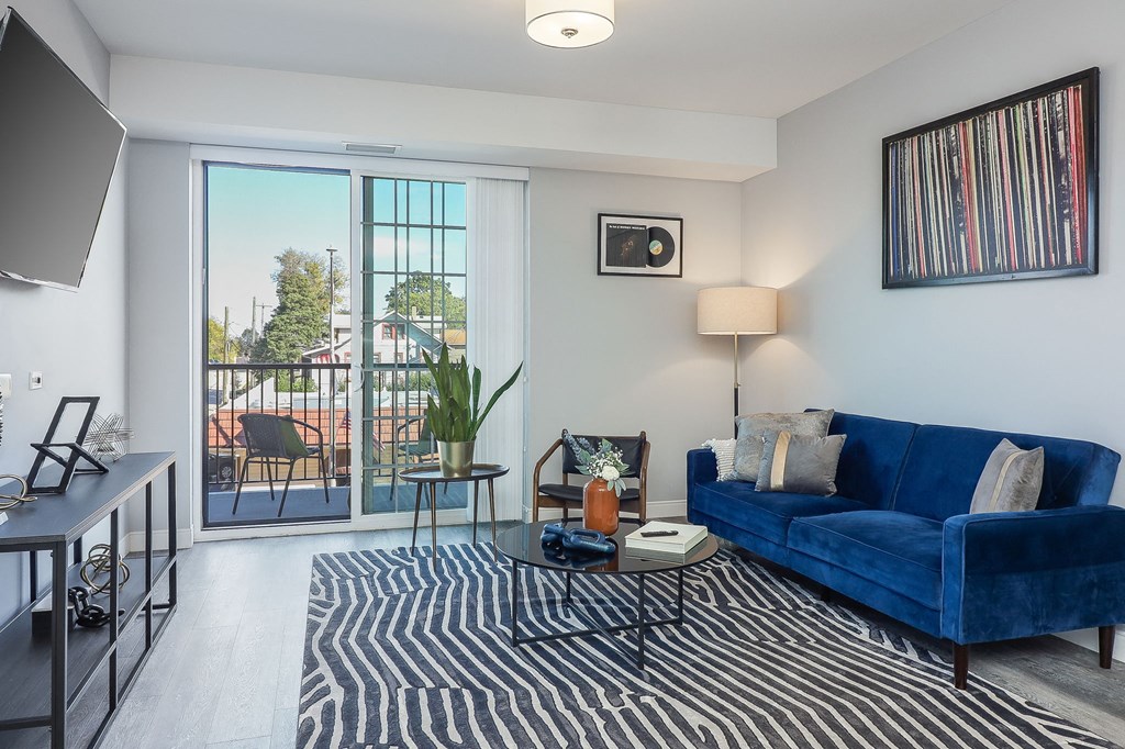 A living room with a blue couch and a zebra print rug.