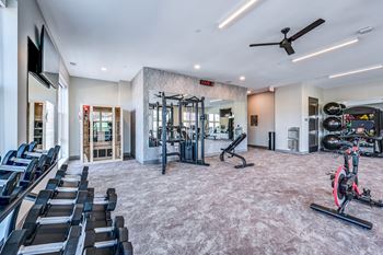A well-equipped gym with treadmills, weights, and exercise bikes.
