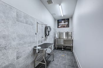 A bathroom with a sink and a toilet.