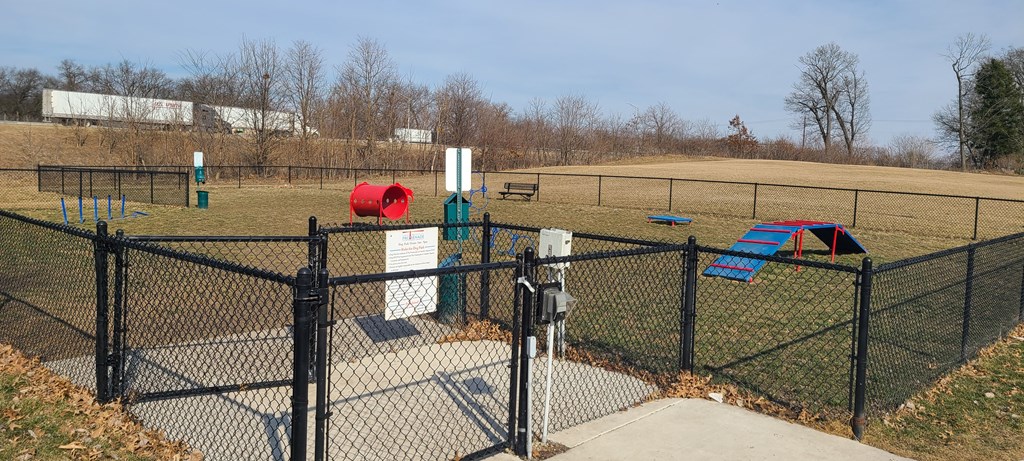 a dog park with a chain link fence and playground equipment