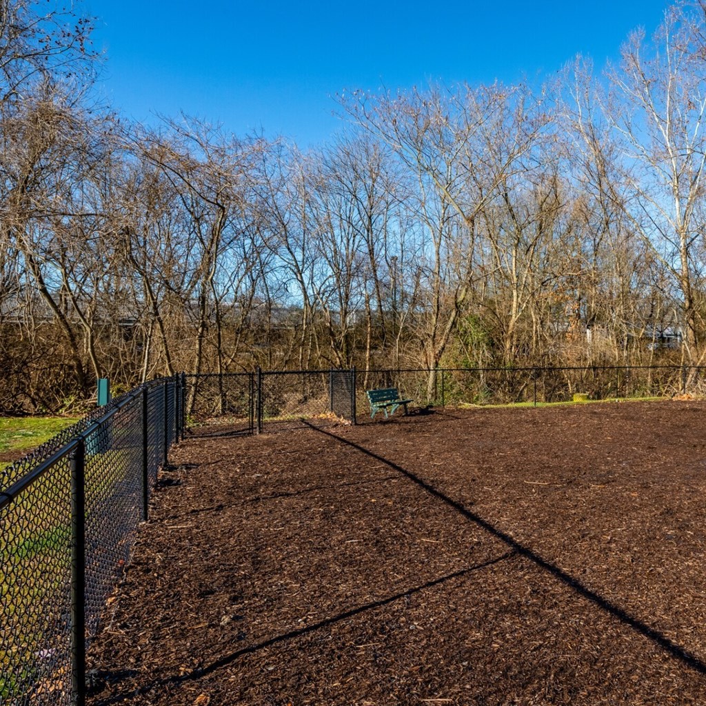 a tennis court with a fence and trees