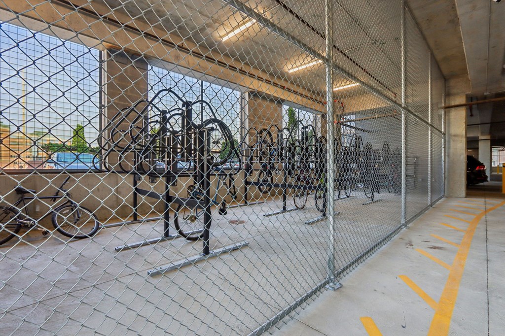 A chain link fence encloses a parking area.