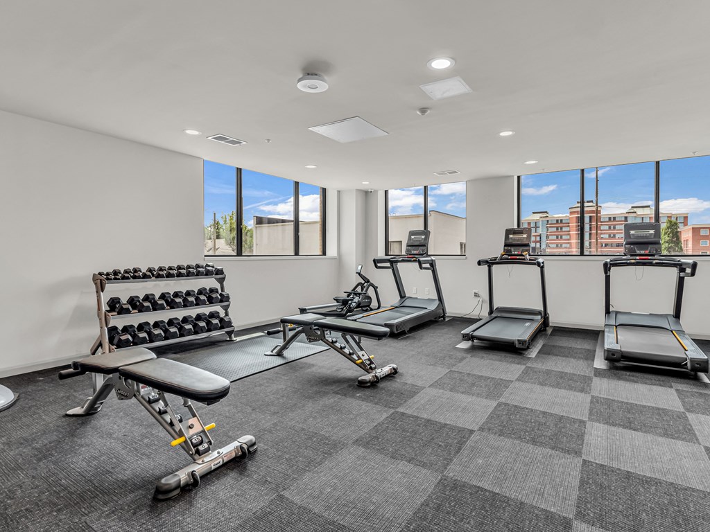 the gym with treadmills and weights at the belgard apartments
