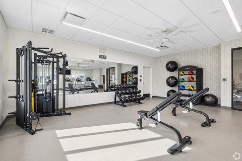A spacious gym with a variety of equipment including a squat rack, a bench press, and a rowing machine.