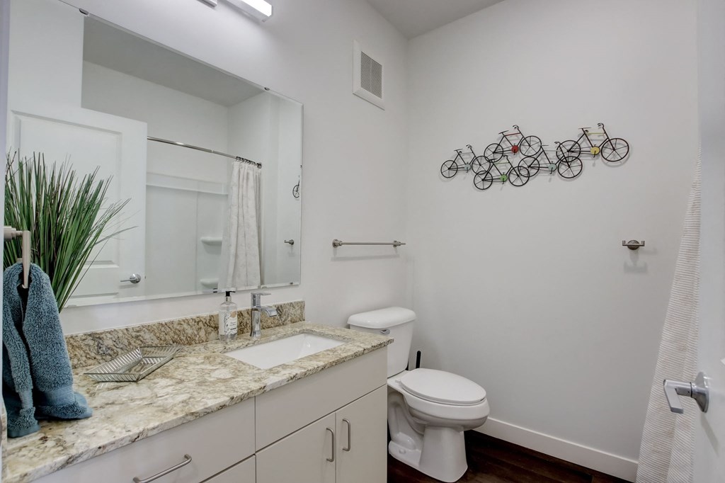 a bathroom with a sink and a toilet and a mirror