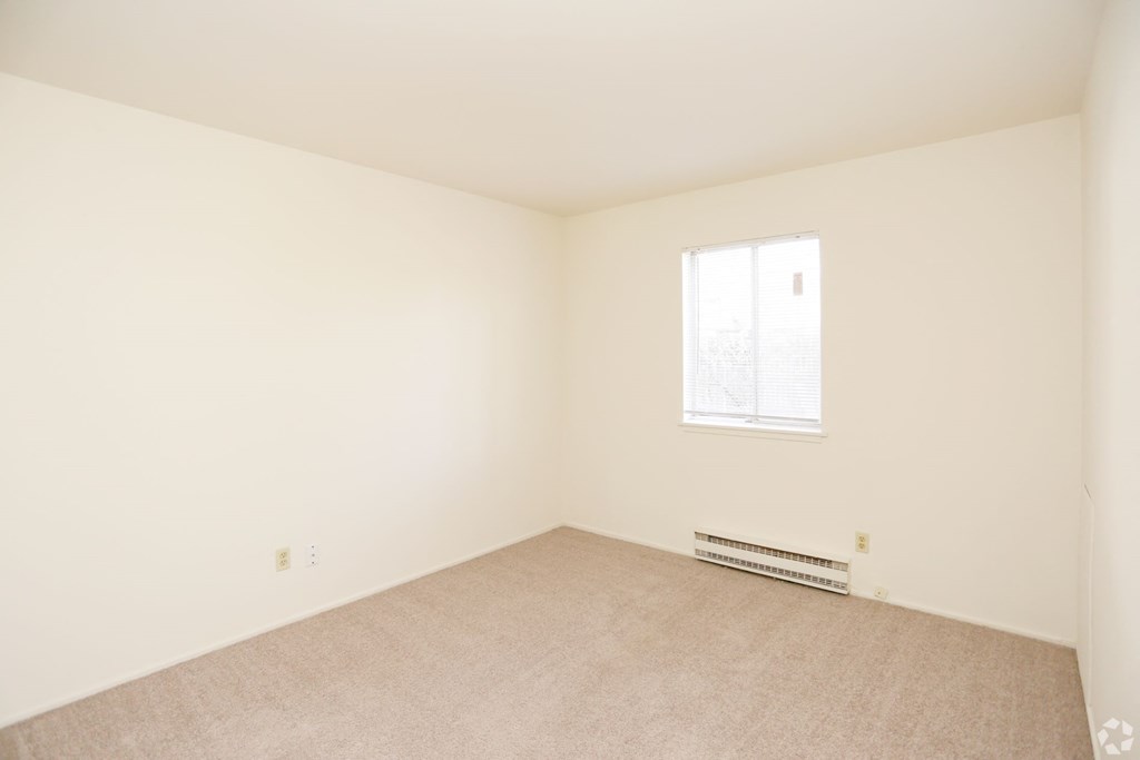 a room with white walls and carpet and a window
