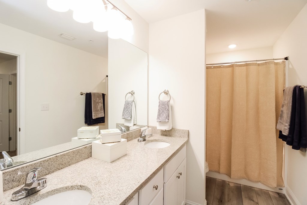 a bathroom with a sink and a shower and a mirror