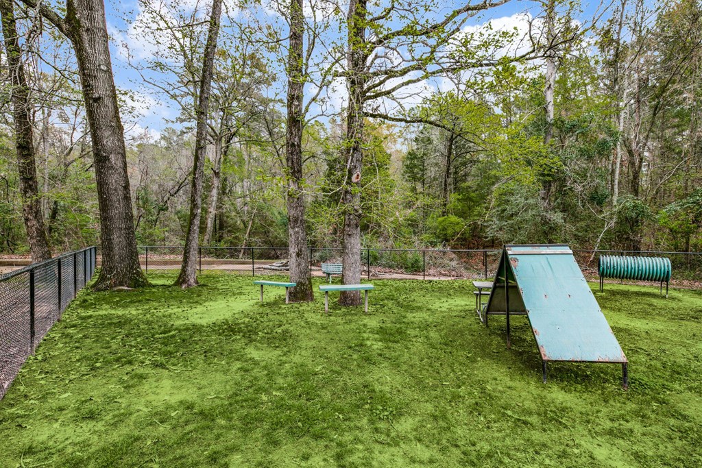 a picnic area with a picnic table and a bench in the woods