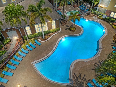 a swimming pool at a resort with palm trees