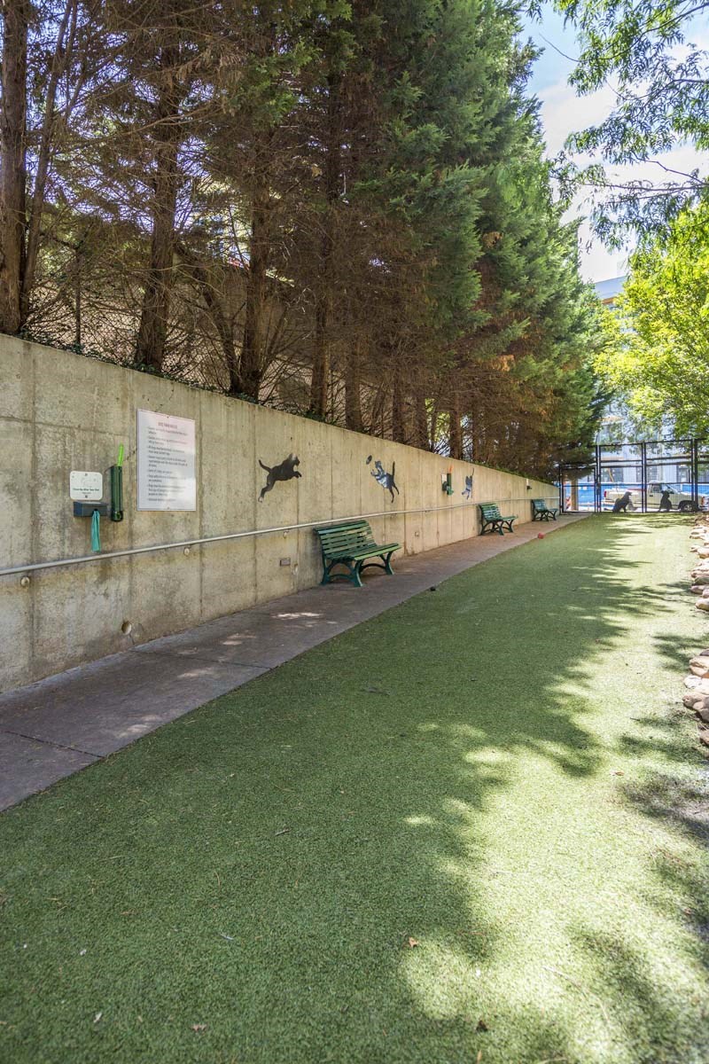 a grassy area with benches and trees in the background