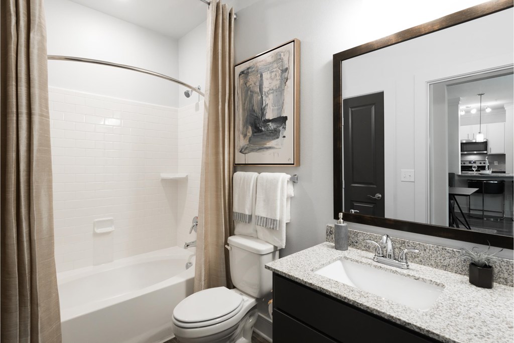 a bathroom with a shower toilet and sink and a mirror