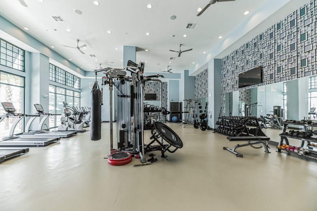 a gym with cardio equipment and weights on the floor and large windows