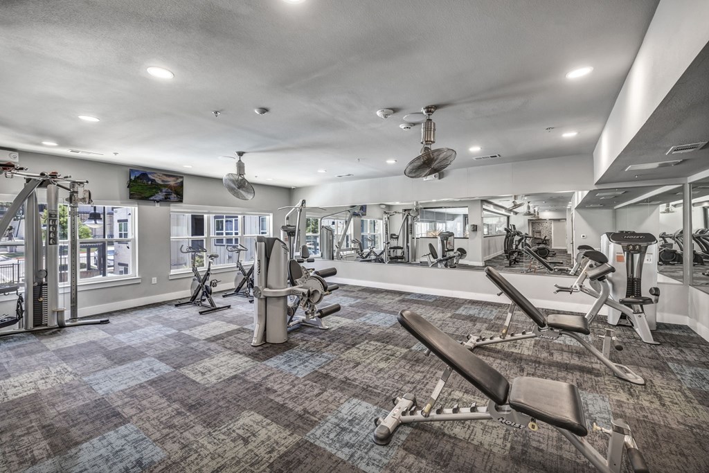the gym at the preserve at green valley apartments in green valley ga