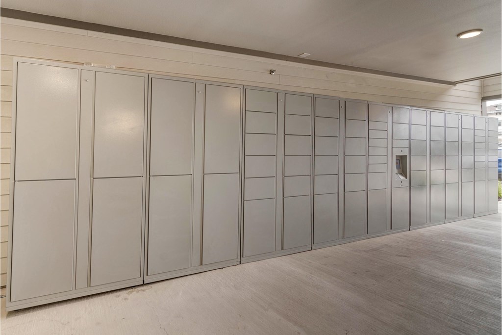 a large room with many closets and a wood floor