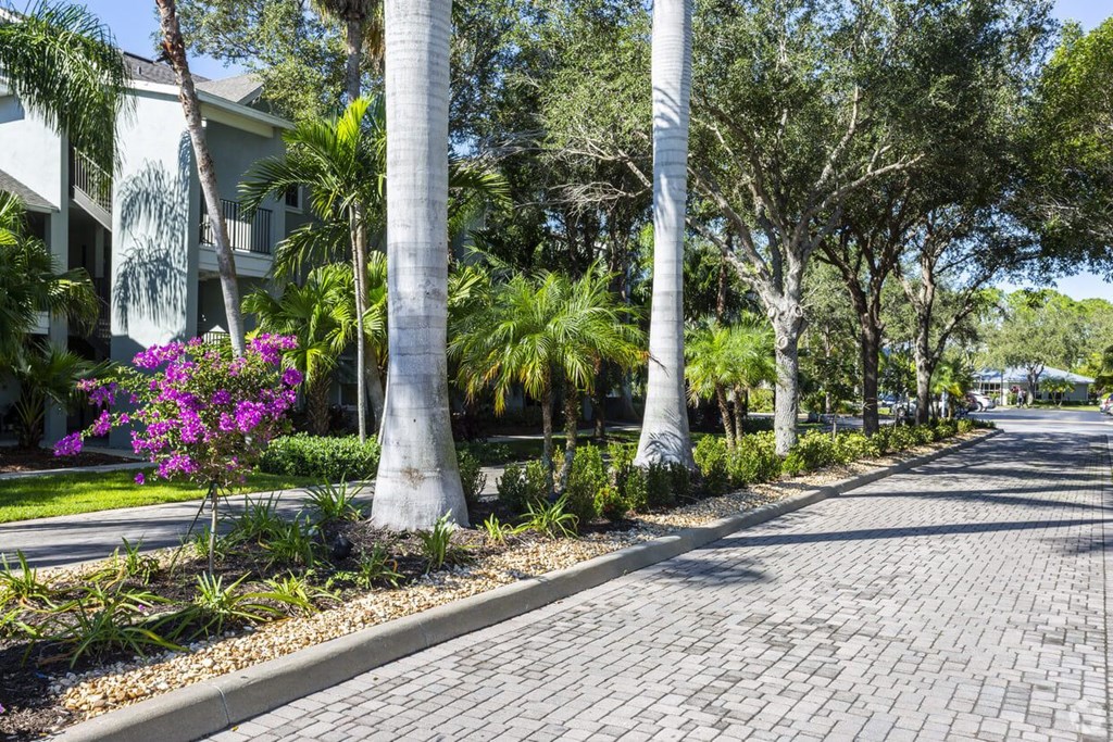 a street with trees and flowers and a building